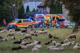Auffahrunfall in Glauchau-Reinholdshain: VW-Fahrerin schwer verletzt - Sachschaden summiert sich auf 20.000 Euro - Nach dem Unfall blieb die Kreuzung am Eingang des Glauchauer Ortsteils Reinholdshain voll gesperrt.
