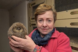 Auffangstation für Igel im Erzgebirge: Eine Retterin im Dauereinsatz - Kathrin Effenberger mit einem ihrer Schützlinge. Dieser ist noch nicht im Winterschlaf, hat sich aber vorsorglich zum Schutz zusammengerollt.