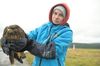 Aufgepäppelt in Bad Elster: An A 72 geretteter Mäusebussard fliegt in die Freiheit - Anne Heinl hat am Dienstag einen Mäusebussard ausgewildert, der am Wochenende in der Vogel- und Igelpflegestation von Corinna Heinrich in Bad Elster abgegeben worden war.