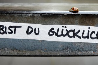 Aufruf aus Mittelsachsen: Was macht Sie glücklich? -
