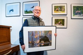 Auge in Auge mit Moschusochse, Wolf und Bär: Peter Liebolds Expeditionen von Mittweida in die Wildnis - Peter Liebold (66) fotografiert digital, viel aus der freien Hand, sagt er, meist mit einem Zoom-Objektiv oder einer 500-Millimeter-Festbrennweite. Am Bildschirm werden die Fotos dann lediglich noch entwickelt und beschnitten.