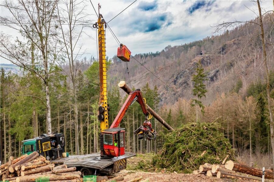 Augustusburg: Holzernte in schwierigem Steilhanggelände -  Waldarbeiter des Forstunternehmens Bergelt sind mit einem "Mounty 4000", einer Kombination aus Seilkran- und Harvestertechnologie, im Einsatz. 