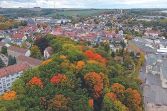 Auktion mit Fragezeichen: Grundstücke nahe der Papierfabrik in Penig werden versteigert - In Penig kommt ein 1,6 Hektar großes Grundstück unter den Hammer, rechts im Bild ist die Papierfabrik zu sehen.