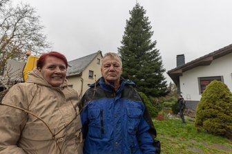 Aus dem Garten auf den Plauener Weihnachtsmarkt: Dieses Ehepaar spendet seinen 30-Meter-Baum - Die beiden Baumspender Katrin und Rüdiger Mäder kurz bevor ihre Blautanne gefällt wurde. Den Eheleuten fiel es nicht leicht, sich von dem Prachtexemplar zu trennen.