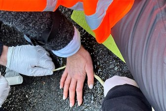 Aus dem Newsroom: "Klimaterroristen" - ist das Unwort des Jahres geschickt gewählt? - 