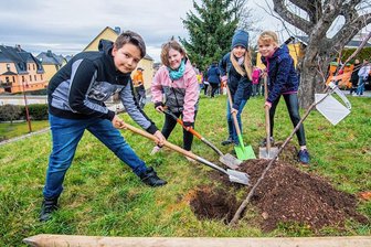 Aus Grau mach Grün: Kinder legen in Hohndorf eine kleine Streuobstwiese an - Pflanzaktion in Hohndorf: Unter anderem haben Tim, Charleen, Emilia und Filly-Elaine (von links) zum Spaten gegriffen. 