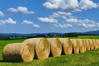 Ausblick ist wettbewerbstauglich - 