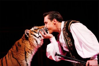 Ausflugstipps für das Wochenende im Vogtland: Circus Probst, Militärfahrzeuge und das erste Spitzenfest Spezial - Der Circus Probst macht erstmalig seit 2018 wieder in Plauen Station. In der neuen Show sind 25 Artisten, ein sechsköpfiges Circus-Orchester und rund 40 Tiere zu sehen.