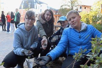Ausgebuddelt statt aufgegossen: Teebeutel als Forschungsobjekt in Zwickau - Wissenschaft zum Anfassen im grünen Klassenzimmer: Claudia Weber, Pädagogische Mitarbeiterin, mit Schülern der 6. Klasse beim Ausgraben der Teebeutel auf dem Schulhof der Kompaktschule in Zwickau. 