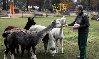 Tierpark