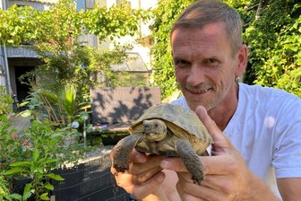 Ausreißer-Schildkröte Anton hält Netzschkauer Viertel auf Trab - Ingo Tunger mit Ausreißer Anton. Die Schildkröte mag Streicheleinheiten und ist gern bei Herrchen. Doch regelmäßig folgt Anton auch dem Lockruf der Freiheit.