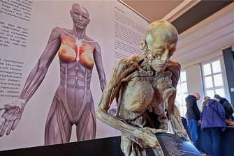 Ausstellung "Echte Körper - von den Toten lernen" in Meerane: Großer Andrang, aber keine konkreten Zahlen - Die Ausstellung war zwei Tage in Meerane zu sehen.