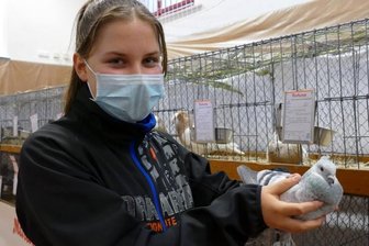 Ausstellung hält den Verein zusammen - Obwohl Alexa Loos (12) zu den jüngsten Teilnehmern gehörte, wurde ihre Luzerner Taube als "Vorzüglich" eingestuft.