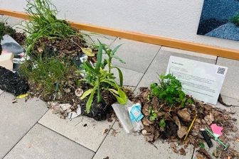 Ausstellung zeigt Pflanzenvielfalt an Straßen und Wegen -