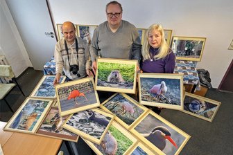 Ausstellungseröffnung in Hohenstein-Ernstthal: Fotoclub zeigt Bilder aus dem Amerika-Tierpark Limbach-Oberfrohna - Frank Elste(links), Rene Ilausky und Ines Schlösser vom Verein „Halt“ mit Tierpark-Bildern des Fotoclubs.