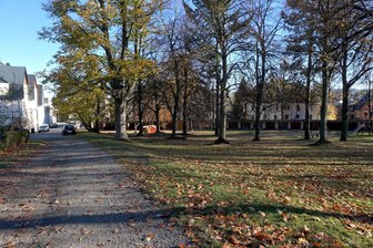 Austausch bei Roster und Steak – Wie Auerbach seinen Schillerpark aufpeppen will - Der Auerbacher Schillerpark soll schöner werden.