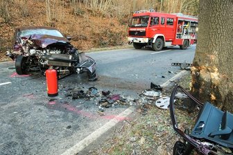 Auto prallt gegen Baum: Zwei Schwerverletzte - S271 gesperrt - 