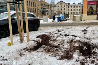 Autofahrer verwüsten neue Beete am Johannisplatz in Limbach-Oberfrohna: Laut Stadt nun „komplette Neuanlage“ nötig - Das Blumenbeet am umgestalteten Johannisplatz wurde als Parkplatz entfremdet.