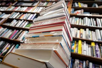 Autorin aus Leipzig stellt in Meerane ihren Jugendroman vor - Ferienzeit ist Zeit zum Lesen. Etwa 100 sächsische Bibliotheken laden zum Buchsommer ein.