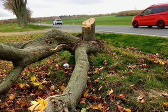 B 173: Polizei erhält Hinweise zu schwerem Unfall mit verletzter Frau und Kleinkind bei Oberschöna - Gegen diesen Baum an der B 173 bei Oberschöna prallte der VW.
