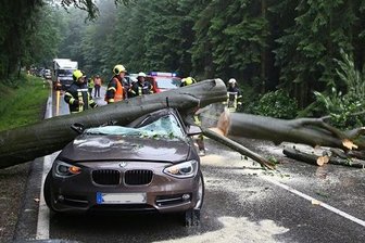 B 180: Baum stürzt auf Auto - Alter Sachsenring gesperrt -
