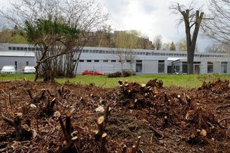 Frischer Gehölzschnitt in der Grünanlage am Robert-Georgi-Weg in Mylau