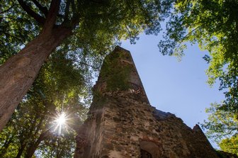 Babyleichenfund im Vogtland: Polizei will Einwohner befragen - Etwa 300 Meter von der Burgruine Liebau entfernt, fand am Mittwochmorgen eine Radfahrerin den toten Säugling.