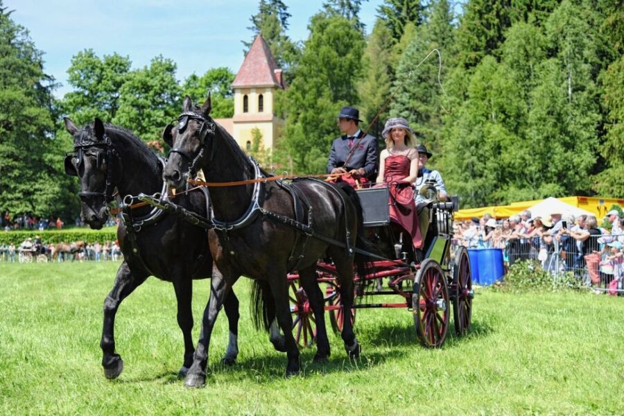 Bad Elster: Edle Pferde und historische Kutschen am Pfingstsonntag - 