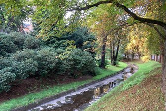 Bad Elster: Warum die Weiße Elster verschwunden ist - Nur Pfützen im Bachbett der Weißen Elster in Höhe des Kurparks Bad Elster: Die Aufnahme entstand am Montagabend.