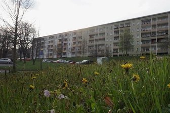 Bad Elsters Neubaugebiet soll schöner werden - Das Kuhberg-Neubaugebiet soll attraktiver werden. In drei Etappen werden Außenbereiche und das Umfeld der Blocks aufgewertet. 
