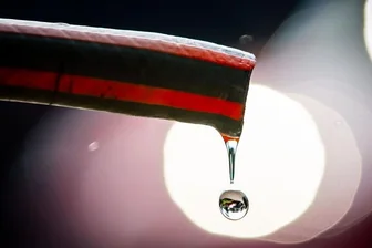 Bäche drohen auszutrocknen: Landkreis verbietet Abpumpen von Wasser -