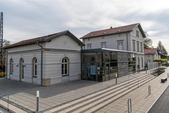 Bäume als Heiligtümer: Fotoschau in Erlau zu sehen - Im Erlauer Generationenbahnhof ist eine Ausstellung mit Fotografien von Bäumen zu sehen.