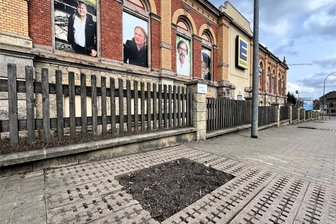 Bäume am Edeka abgesägt: Warum die Stadt Hainichen eingegriffen hat - Die Pflanznischen sind leer: Am Edeka-Markt in Hainichen sind drei Kugelahorne gefällt worden.