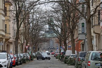 Bäume am Poetenweg in Zwickau müssen gefällt werden - Der Poetenweg mit Blick gen Kunstsammlungen vor knapp fünf Jahren.