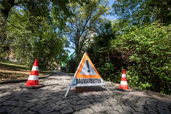 Bäume im Plauener Lutherpark gestutzt und beschnitten - Teile des Plauener Lutherparks waren zuletzt nicht zugänglich. Grund: Baumpflegearbeiten.