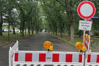 Bäume morsch: Die August-Bebel-Straße in Zwickau ist gesperrt - Die Baumschnittarbeiten haben bereits begonnen. Textbaustein: Foto: Holger Weiß