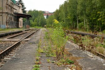 Bahnanschluss für Rochlitz: Ein Weihnachtsgeschenk, das über Jahre Freude bringt - In Rochlitz – hier der Bahnhof – wartet man darauf, wieder ans Schienennetz angeschlossen zu werden.
