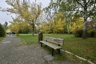 Basketball, Tischtennis, neue Bäume: So soll der Stadtpark Marienthal sein Gesicht verändern - Der Stadtpark Marienthal hat seine besten Jahre hinter sich. Er soll neu gestaltet werden.