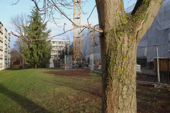 Bauarbeiten am Baikal-Center in Zwickau-Neuplanitz: Beschwerden über verschwundene Bäume vor der eigenen Haustür - Am Neuplanitzer Baikal-Center musste eine größere Anzahl von Bäumen weichen.