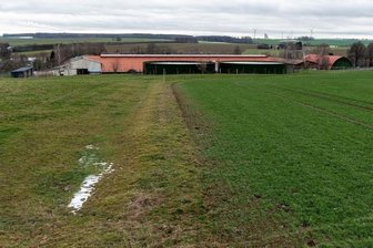 Bauarbeiten für Schweinestall sollen nächste Woche starten - Auf dieser Fläche am Kuhstall von Königshain soll der Schweinestall der Genießergenossenschaft Sachsen gebaut werden. 