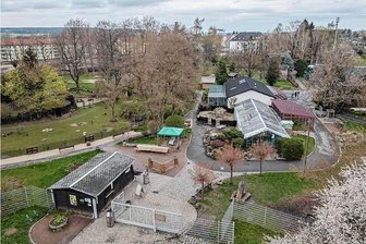 Baubeginn im Juni: Tiergarten Falkenstein bekommt neuen Eingang - Blick auf den Tiergarten Falkenstein. Im Vordergrund der aktuelle Zugangsbereich, der nach dem Neubau des Funktionsgebäudes für Stadtpark und Tiergarten nicht mehr benötigt wird.