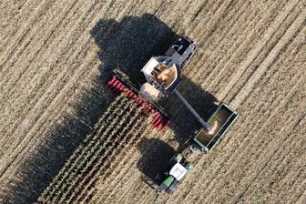 Bauernpräsident ist entsetzt: So hart trifft der Sparhaushalt der Ampel Sachsens Landwirte - Bauern bei der Maisernte: Steuervergünstigungen für Landmaschinen und Agrardiesel fallen weg - das trifft die Landwirte hart.