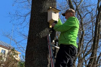 Bauhof-Team bringt neue Nistkästen an -