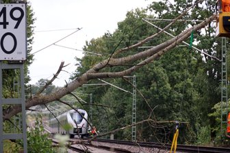 Baum blockierte Bahnverkehr zwischen Freiberg und Chemnitz: Strecke am Abend wieder frei - Ein Baum war zwischen Frankenstein und Kleinschirma auf die Bahnstrecke gestürzt. Während der Fällarbeiten war der Bahnverkehr unterbrochen.