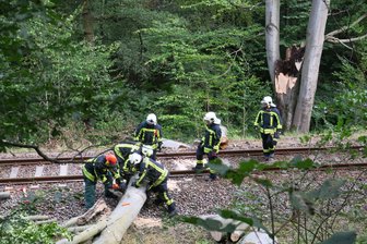 Baum stoppt Erzgebirgsbahn -