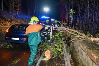 Baum stürzt bei Waldheim auf die Straße - Auto kracht dagegen - Die Feuerwehrleute beseitigten den Baum.