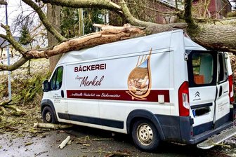 Baum stürzt in Nassau im Erzgebirge auf Bäckerwagen – Verkäuferin: „Auf einmal gab es einen lauten Knall“ - Ein Baum ist am Dienstag in Nassau auf den Verkaufswagen einer Bäckerei gefallen.