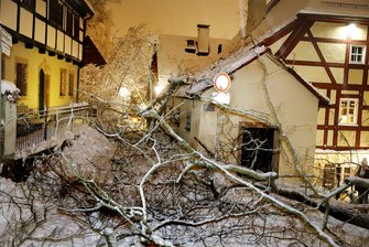 Baum stürzt ins Fachwerkviertel am Schloßberg - Schulweg gesperrt -