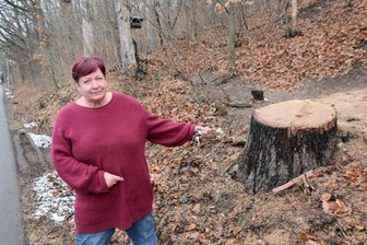 Baumfällung in Mülsen sorgt für Unmut: Vogel-Idyll nach 30 Jahren zerstört - Anwohnerin Kerstin Frank-Ungethüm neben dem gefällten Baum an der Schneeberger Straße in Thurm.