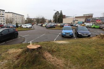 Baumfällungen an Parkplatz stoßen auf heftige Kritik - Am Parkplatz Heinrich-Heine-Straße/Sonnenstraße in Hohenstein-Ernstthal sind zahlreiche Bäume gefällt worden. 